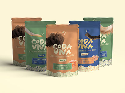 Esempio di brand identity realizzato dallo studio web